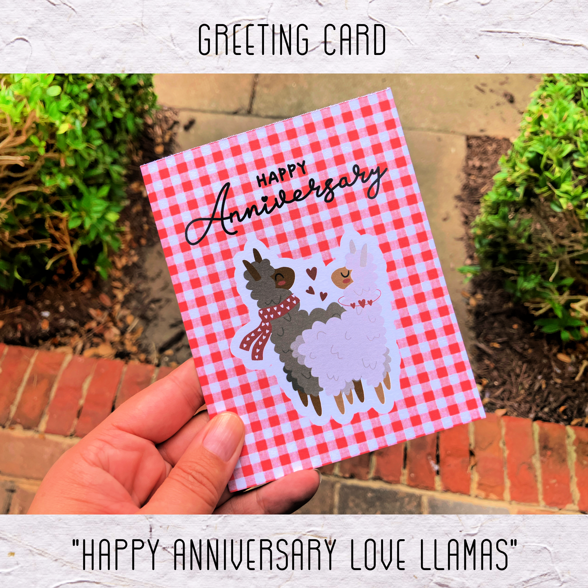 Greeting Card: Happy Anniversary Love Llamas
